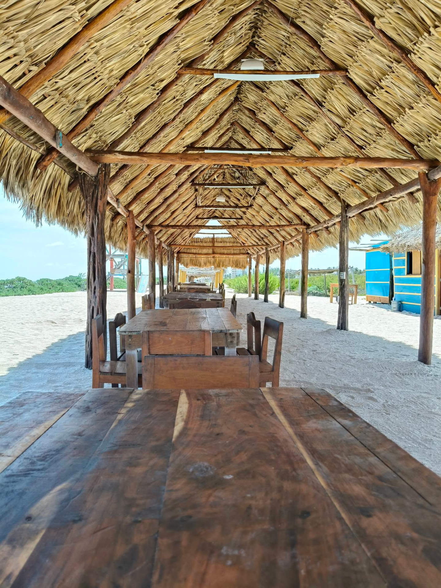 Pasillo de mesas bajo la palapa